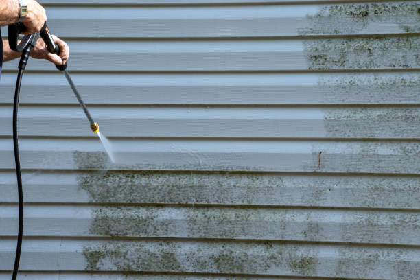 Shed Removal in Key Center, WA